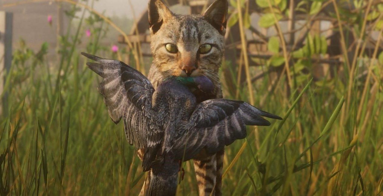 Red Dead Redemption 2, Rockstar Games, Ornitolog chválí RDR2 za vyobrazení divoké přírody