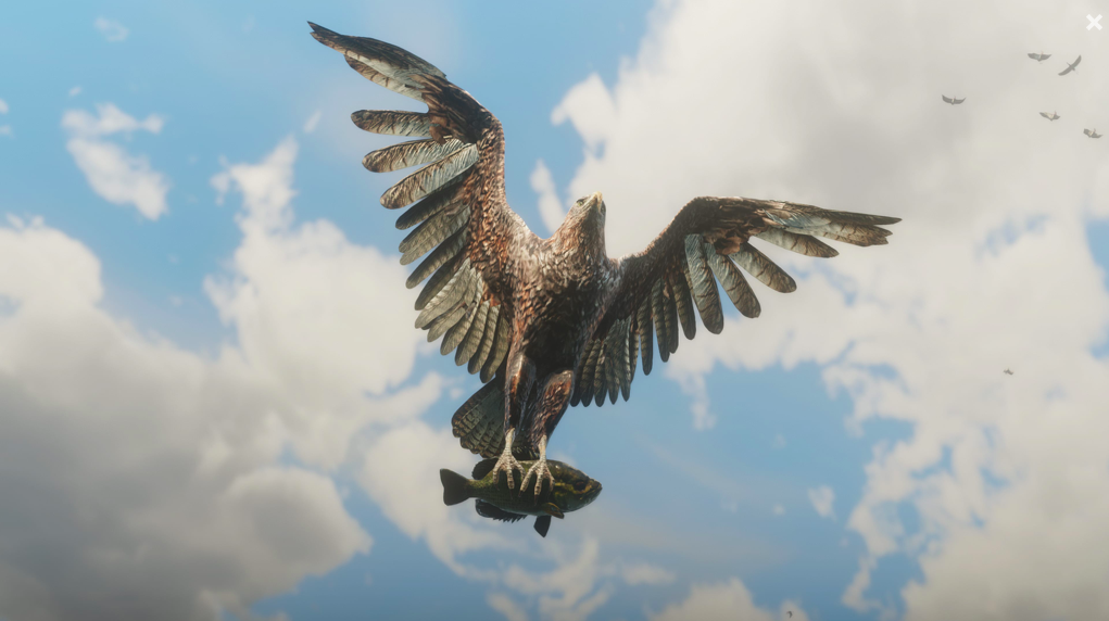 Red Dead Redemption 2, Rockstar Games, Ornitolog chválí RDR2 za vyobrazení divoké přírody