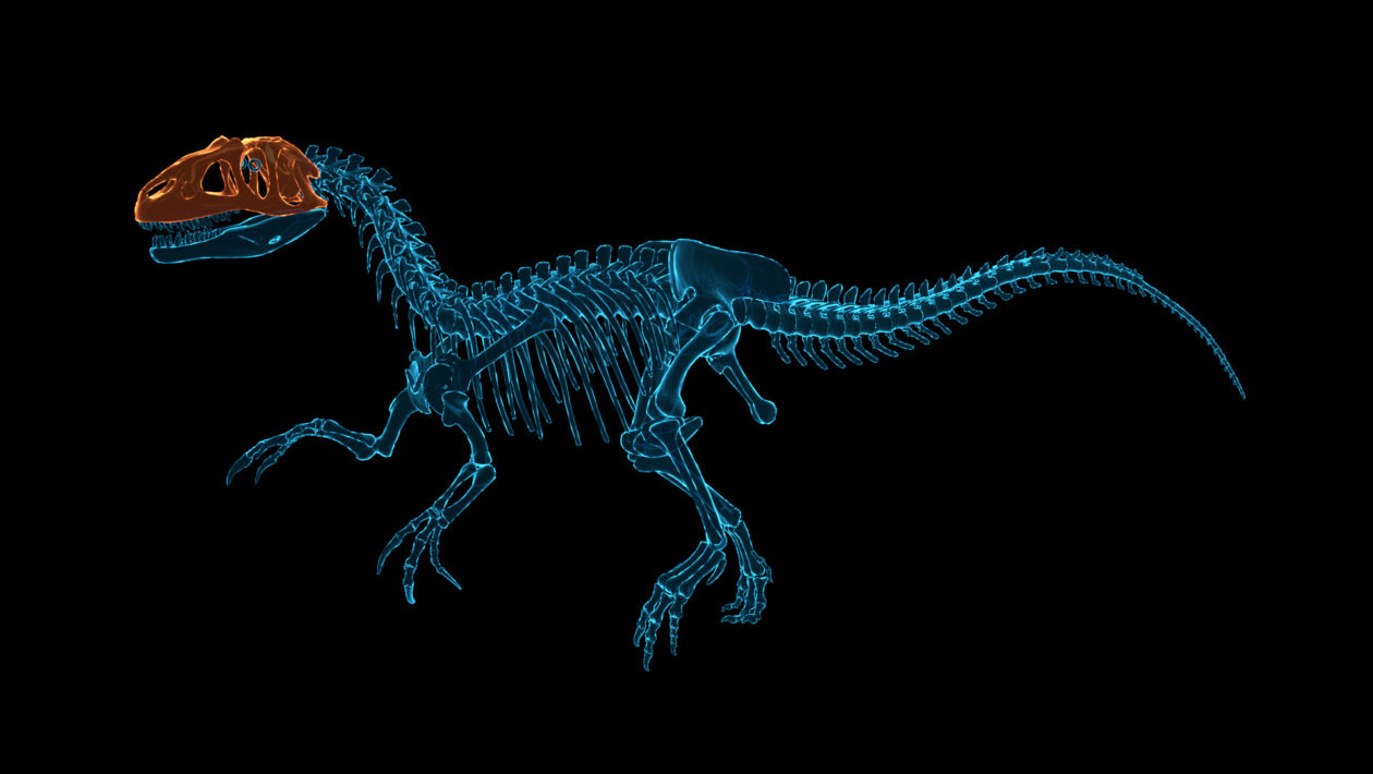 Dinosaur Fossil Hunter, PlayWay, V novém simulátoru se staneme paleontologem