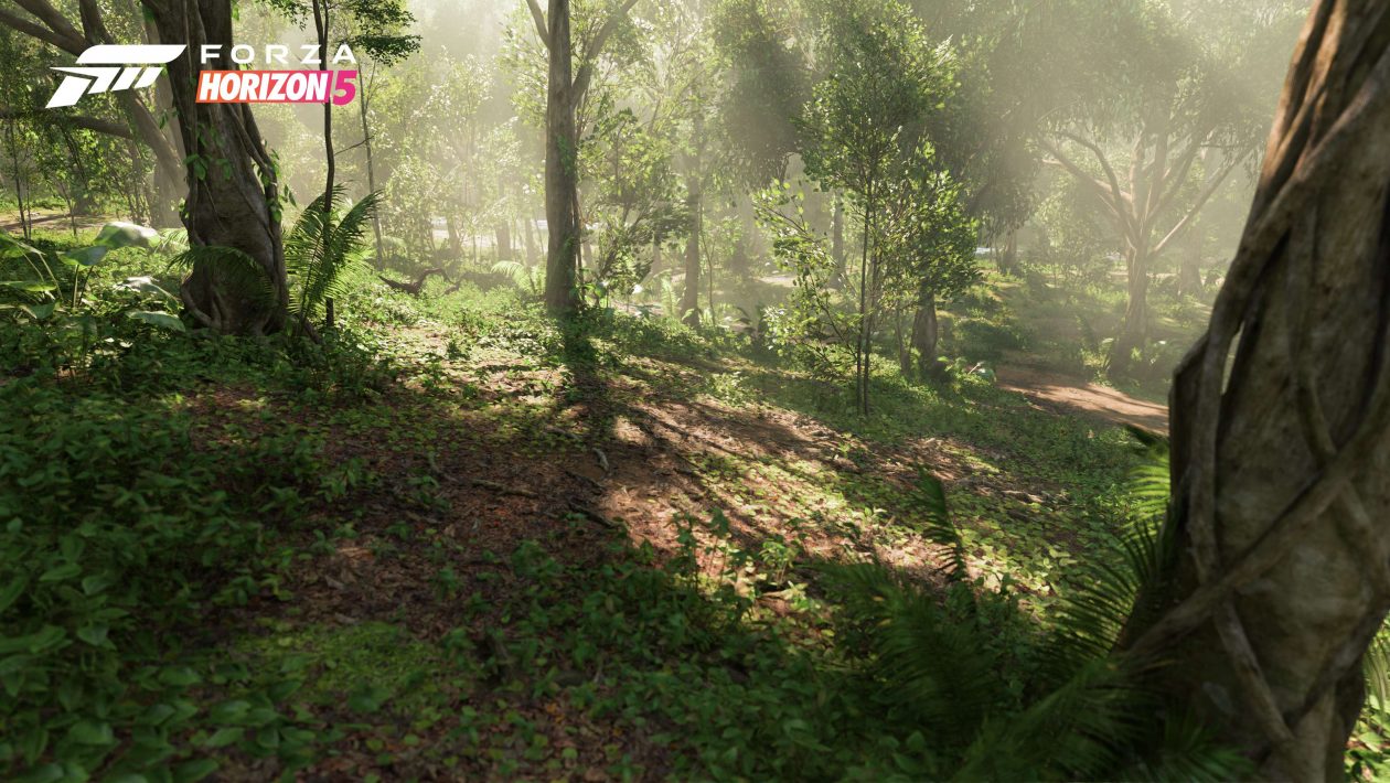 Forza Horizon 5, Xbox Game Studios, Forza Horizon 5 představuje svých 11 biomů