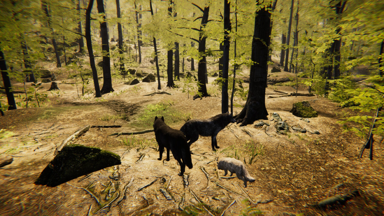 Animal Simulator, Imperian Online, Český Animal Simulator z vás udělá divoké zvíře