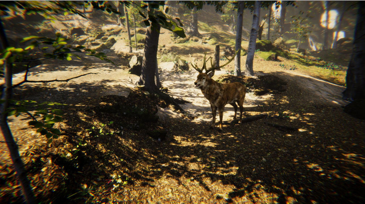 Animal Simulator, Imperian Online, Český Animal Simulator z vás udělá divoké zvíře