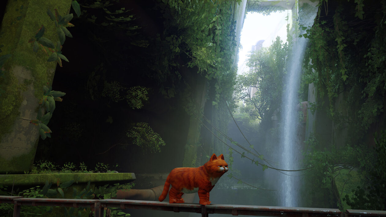 Stray, Annapurna Interactive, Lidé mění kočku ve Stray na Garfielda, psa i CJ z GTA