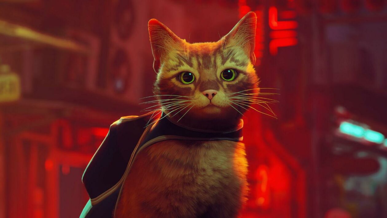 Kočičí dobrodružství Stray obdrží animovaný film » Vortex